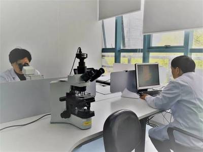 上海公司專業健康體檢與檢驗科服務，守護您的健康生活