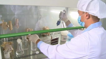 通城縣質檢中心 精準檢測，為企護航，把好產品質量與室內環境安全關