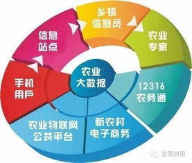 未來三年，中國農(nóng)業(yè)即將步入大數(shù)據(jù)時代